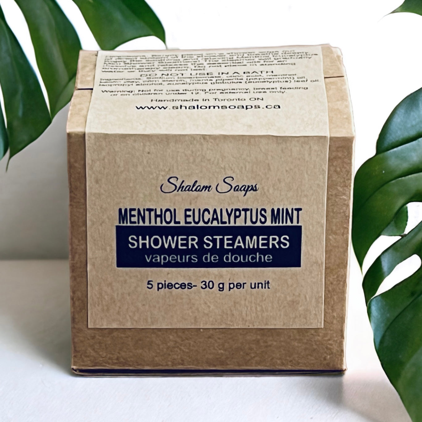 Menthol Eucalyptus Mint Shower Steamers