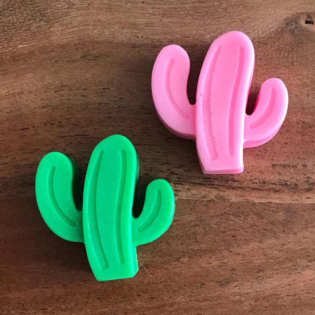 Mini Cactus Soap Favors