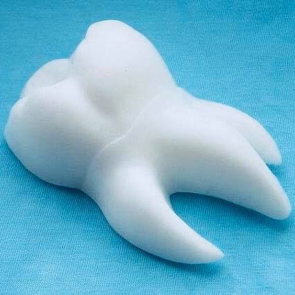 Molar Tooth Soap Favors